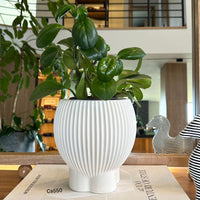 Florero moderno blanco ceramica   17.6cm* 18cm