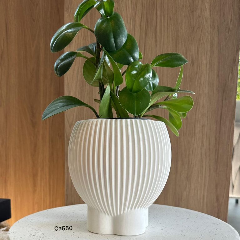 Florero moderno blanco ceramica   17.6cm* 18cm