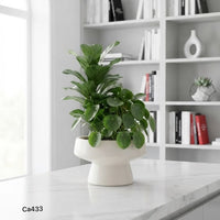 Jarron maceta blanco pequeño ceramica  17cm* 17cm* 10cm