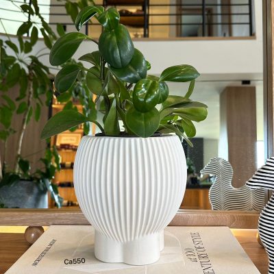 Florero moderno blanco ceramica   17.6cm* 18cm